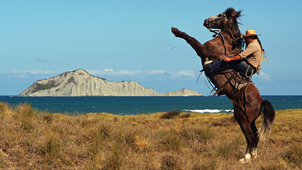 8th annual Big Sky Documentary Film Festival Competition Awards