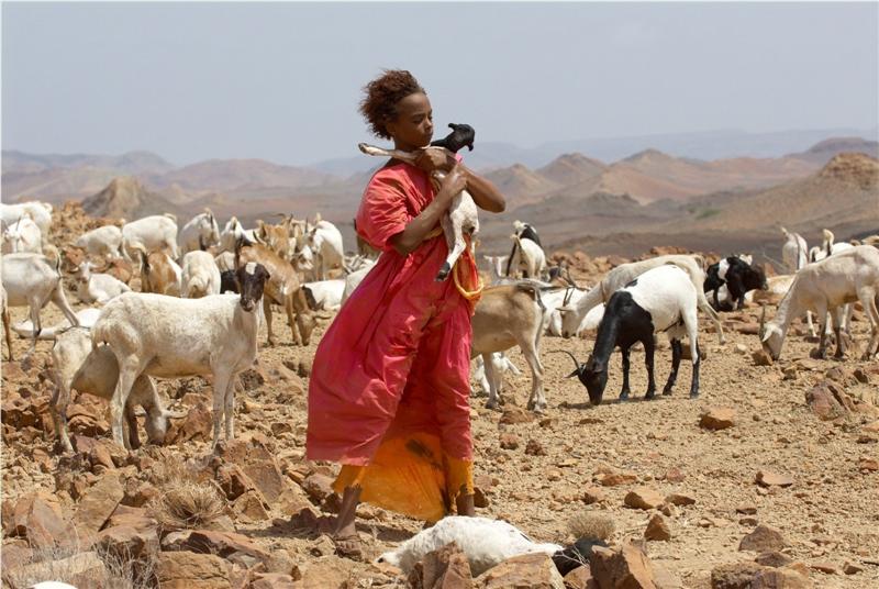 REVIEW: Desert Flower - True Story of Somalian Supermodel Waris Dirie