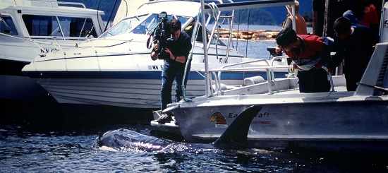 Paladin takes "The Whale," narrated by Ryan Reynolds