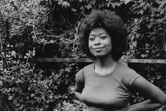 ALICE WALKER: BEAUTY IN TRUTH