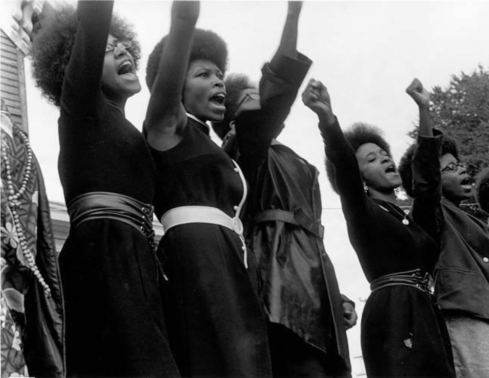 The Black Panthers: Vanguard of the Revolution