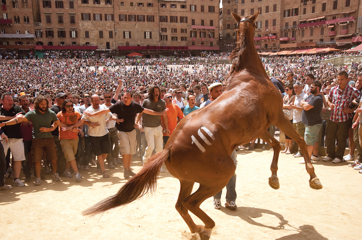 Palio, edited by Valerio Bonelli