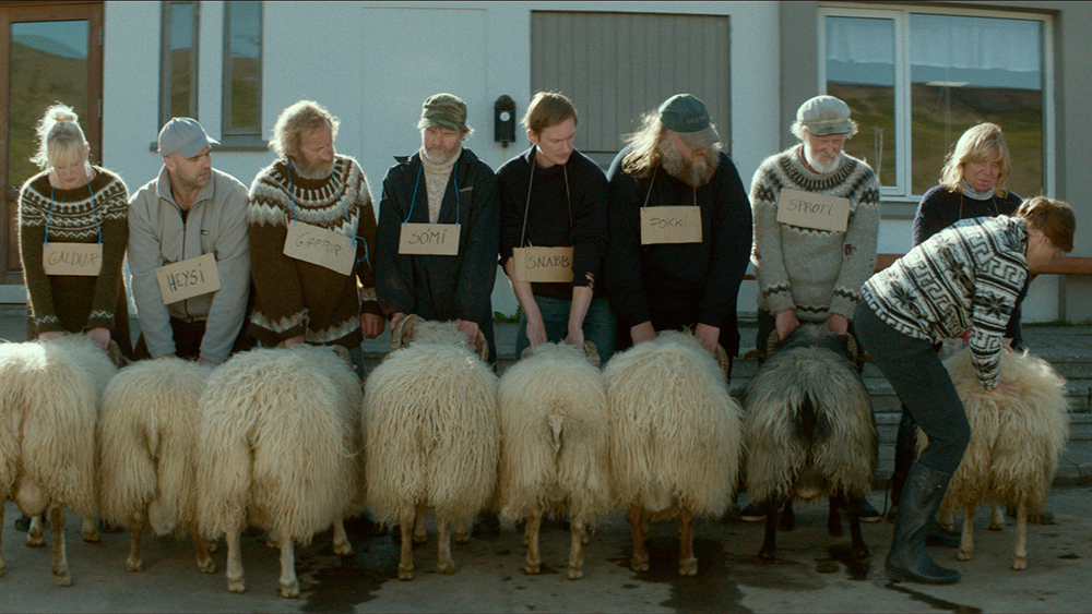 RAMS, Director: Grímur Hákonarson