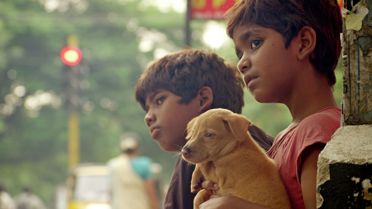 2015 Chicago South Asian Film Festival Awards; THE CROW’S EGG Wins Best Film