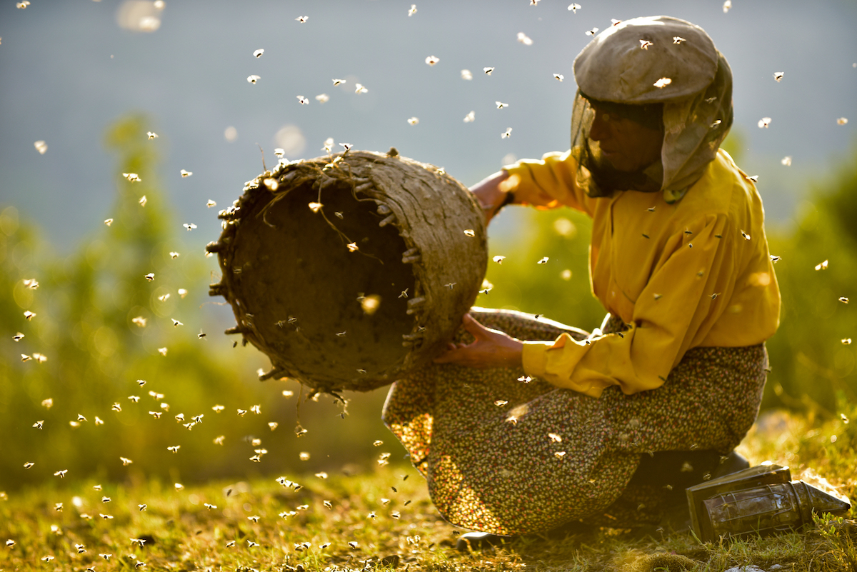 2019 Sundance Film Festival Awards – CLEMENCY, ONE CHILD NATION, HONEYLAND, THE SOUVENIR Win Top Prizes