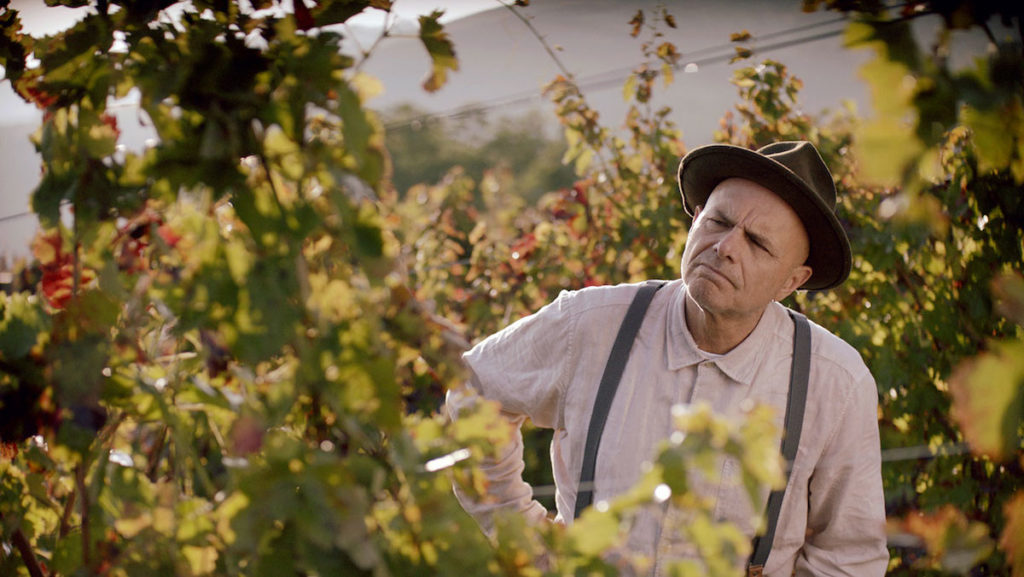 From the Vine directed by Sean Cisterna