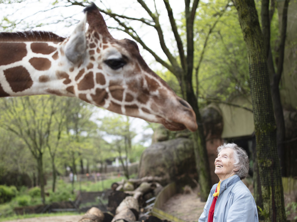 THE WOMAN WHO LOVES GIRAFFES