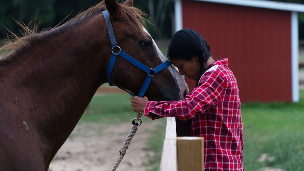 Horse Camp: A Love Tail 