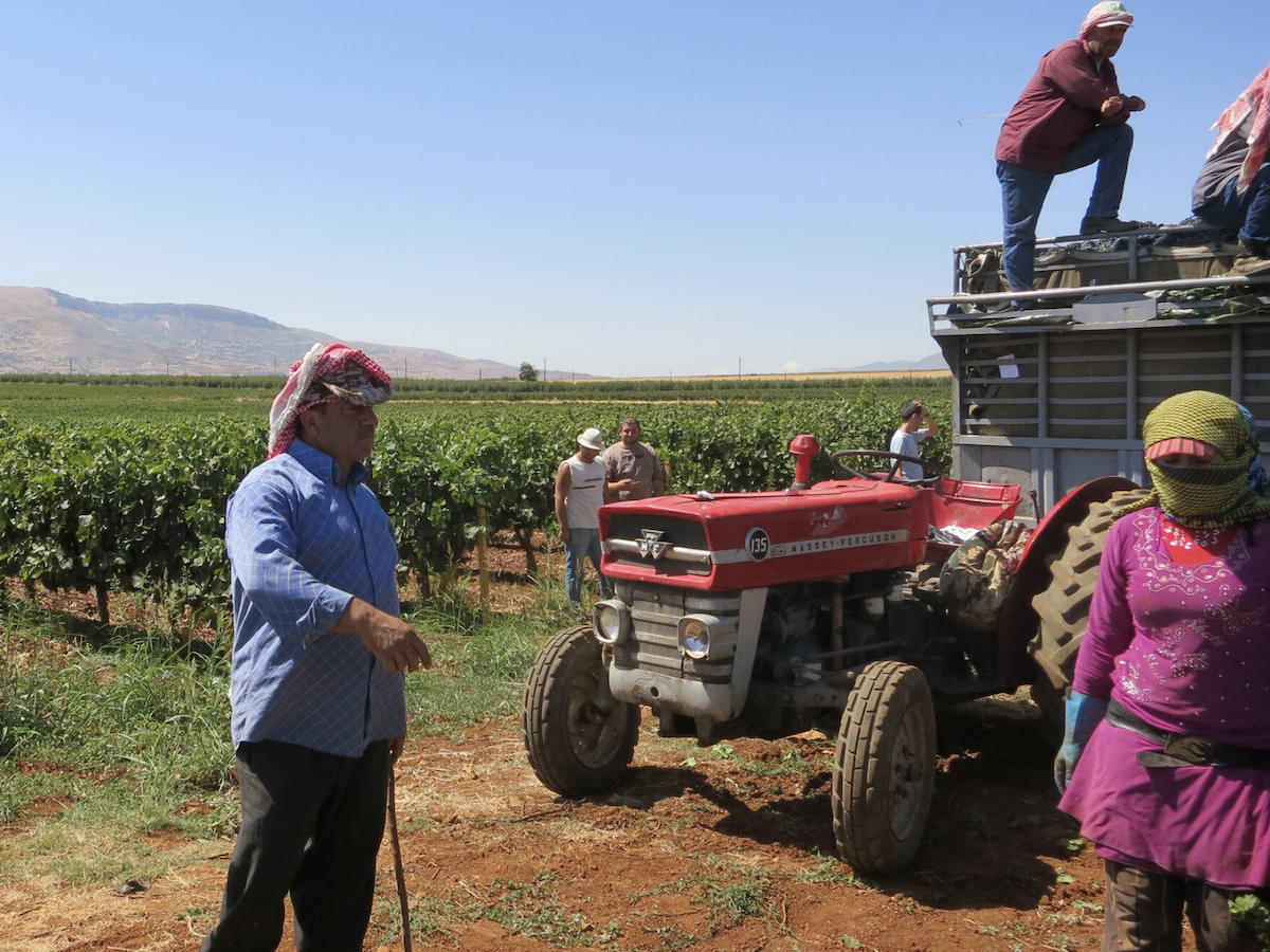 WINE and WAR: The Untold Story of Wine in the Middle East