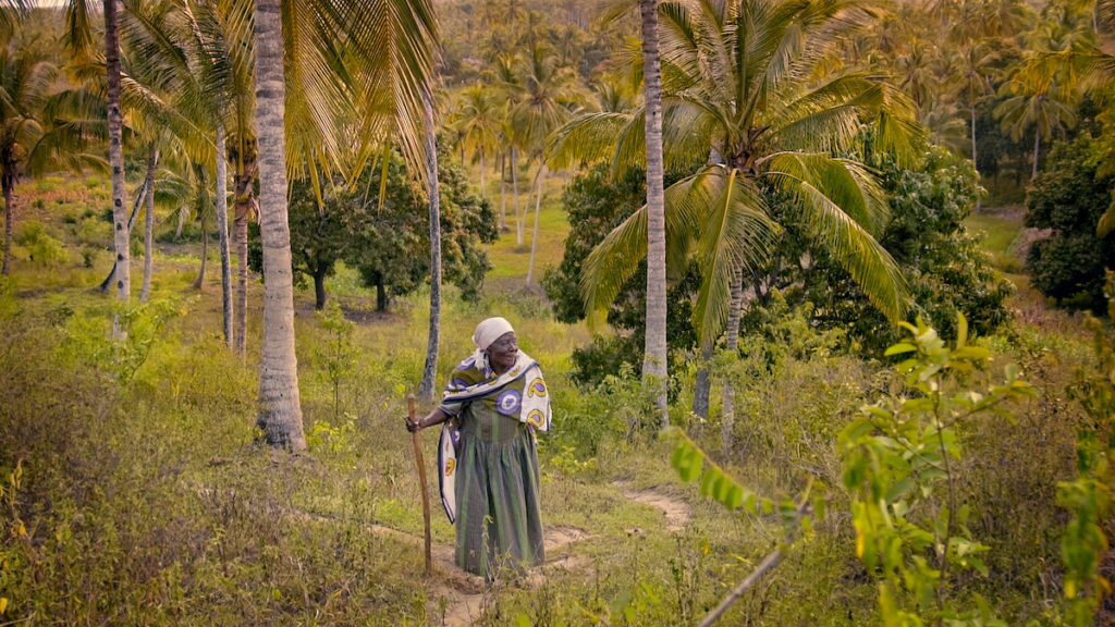 The Letter directed by Maia Lekow and Christopher King