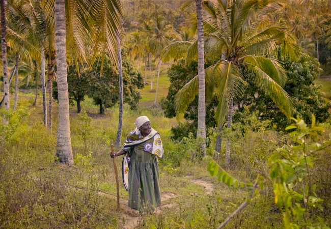 The Letter directed by Maia Lekow and Christopher King