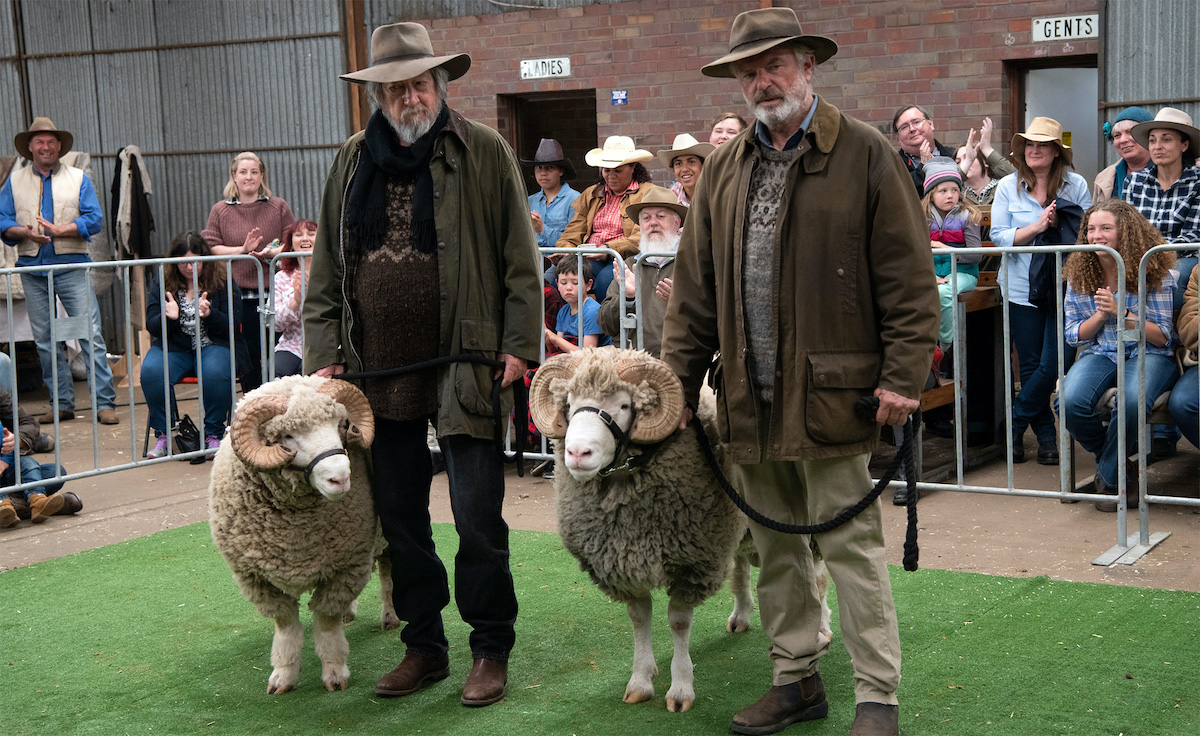 RAMS starring Sam Neill and Michael Caton