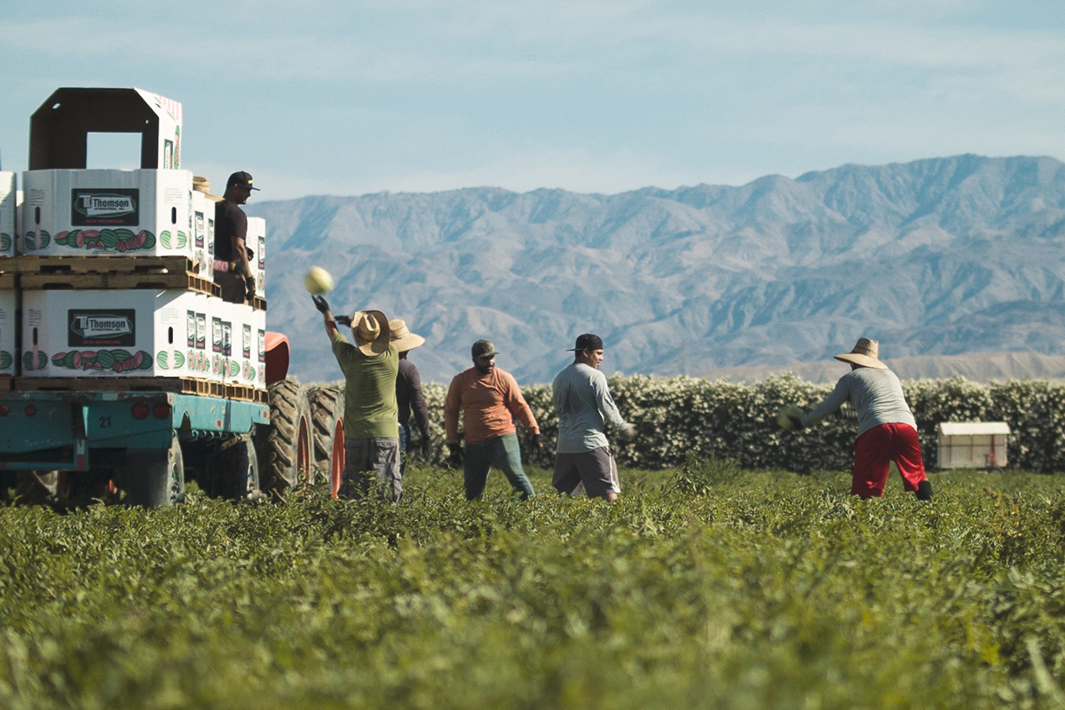 "Invisible Valley" directed by Aaron Maurer