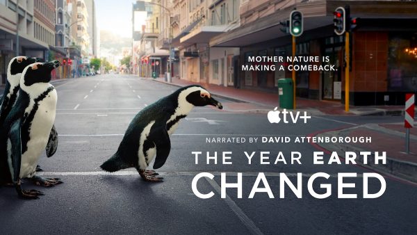 documentaries narrated by david attenborough