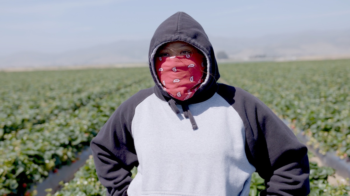 Ashley in the strawberry fields in FRUITS OF LABOR