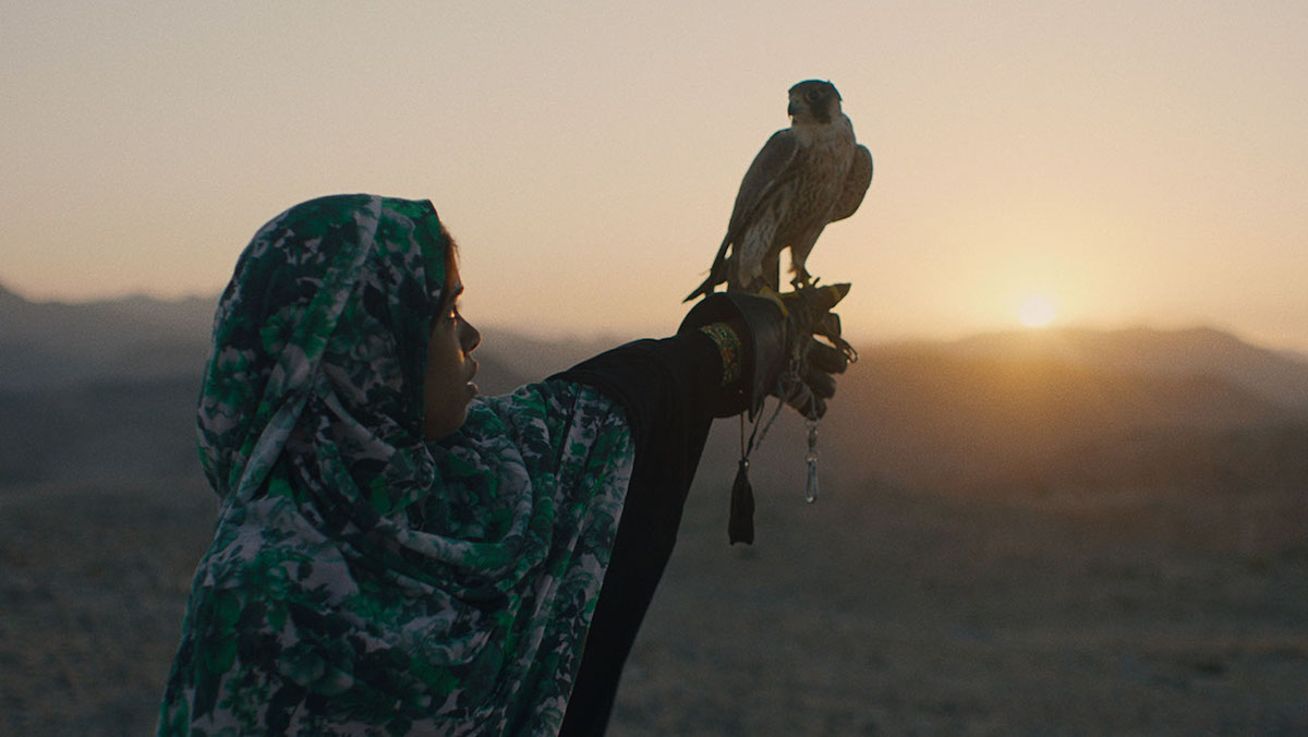 The Falconer directed by Adam Sjöberg and Seanne Winslow.