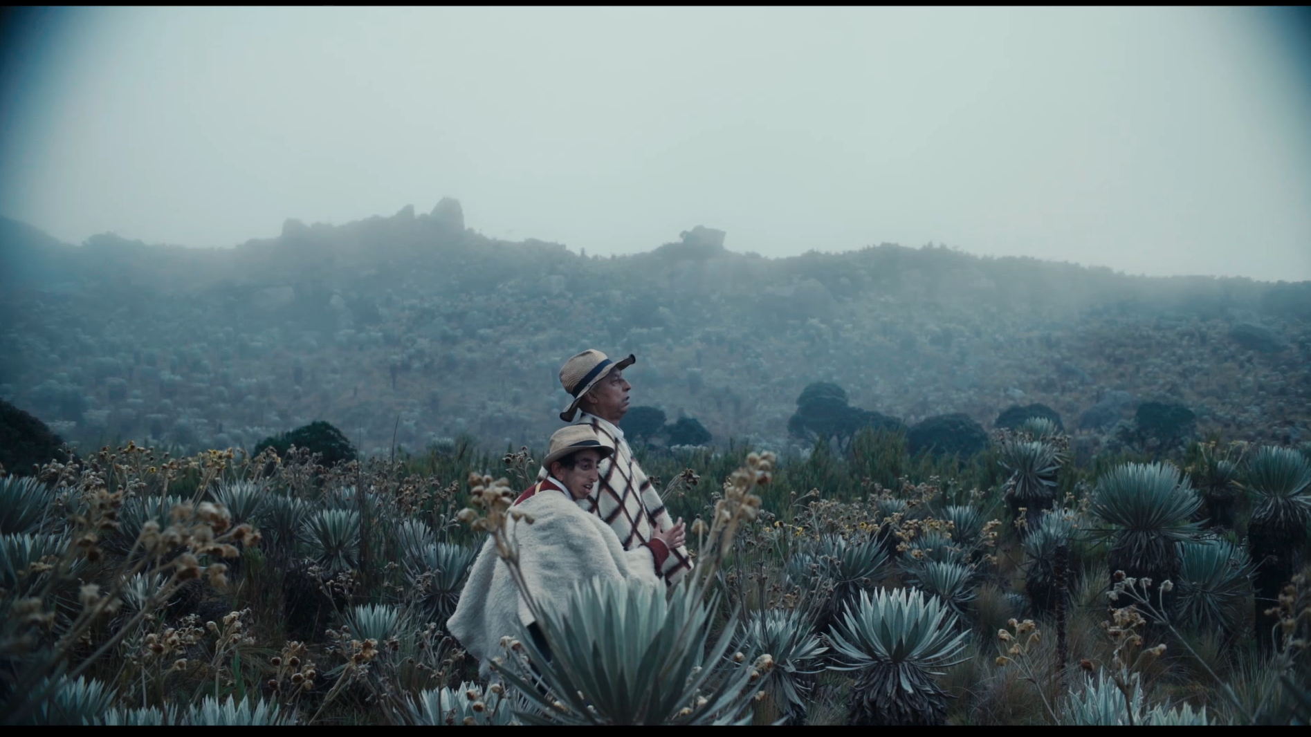 A Vanishing Fog (Entre la niebla) directed by Augusto Sandino