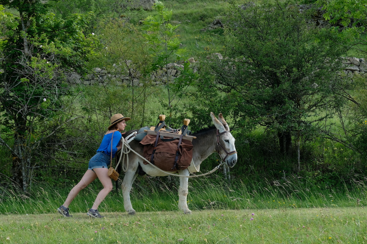 My Donkey, My Lover & I directed by Caroline Vignal official trailer and release date