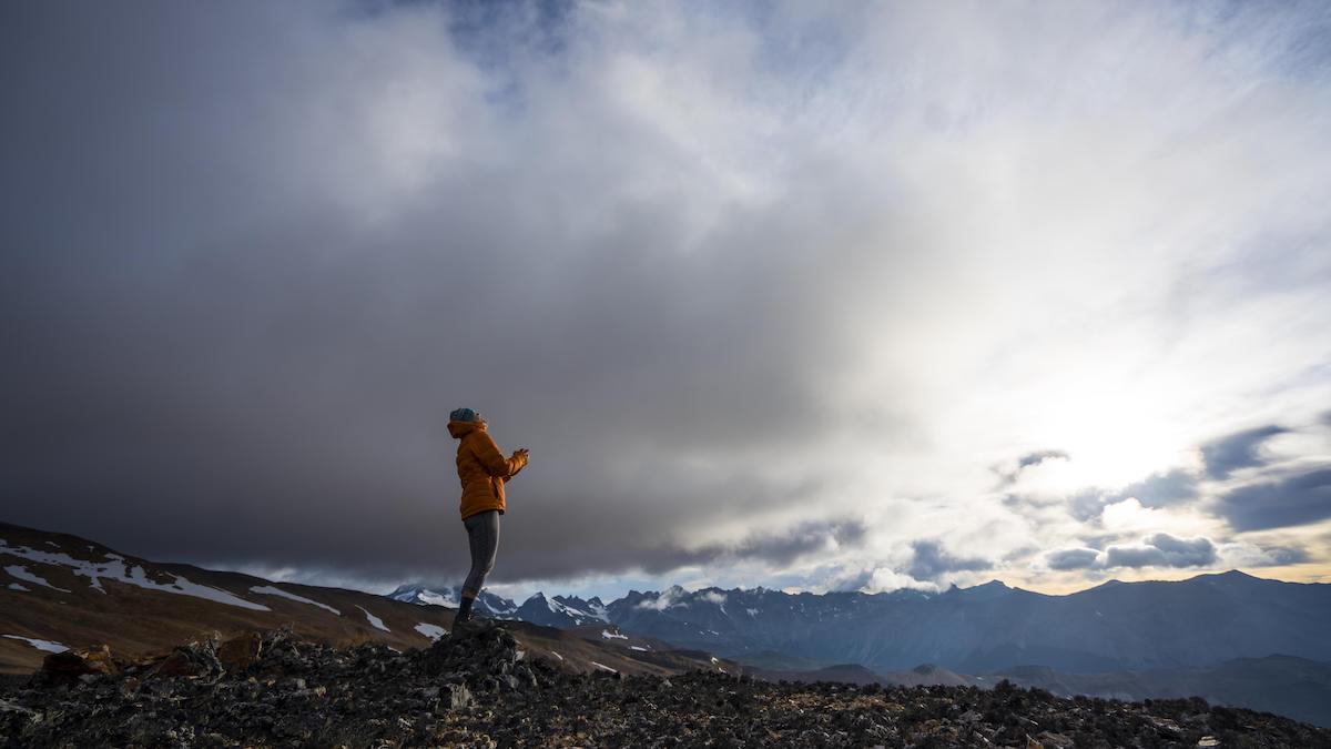 Wild Life directed by Elizabeth Chai Vasarhelyi, Jimmy Chin official trailer and release date