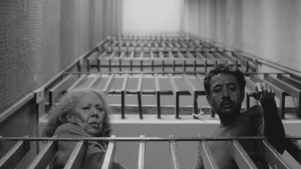 We Shall Not Be Moved (No nos moverán)