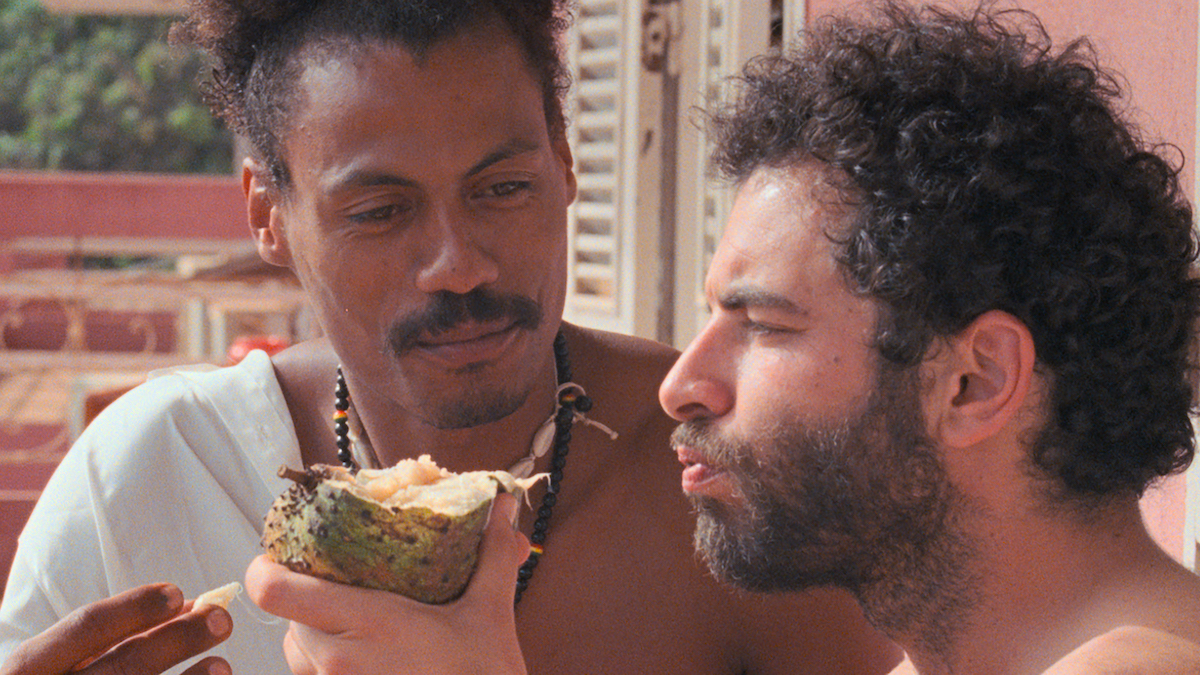 I Only Rest in the Storm (O Riso e a Faca)