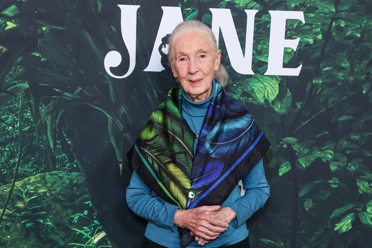 Jane Goodall