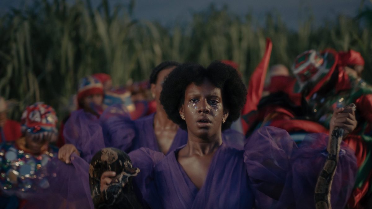 Sugar Island by Johanné Gómez Terrero