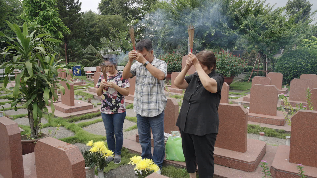 On Healing Land, Birds Perch