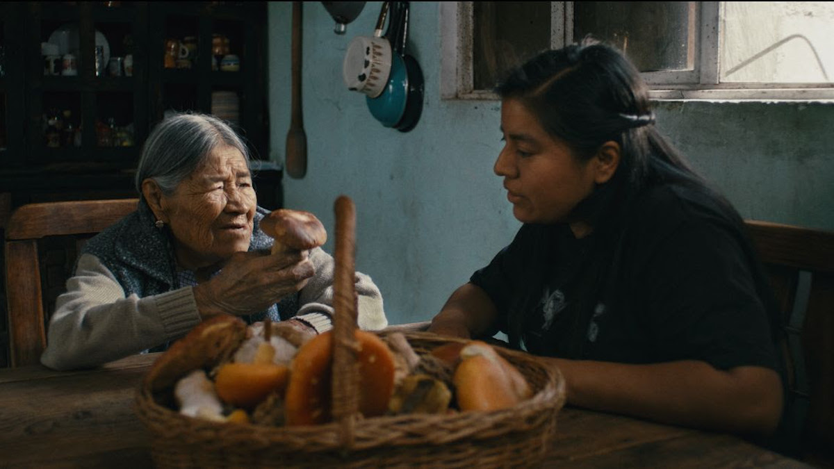 Daughters of the Forest 