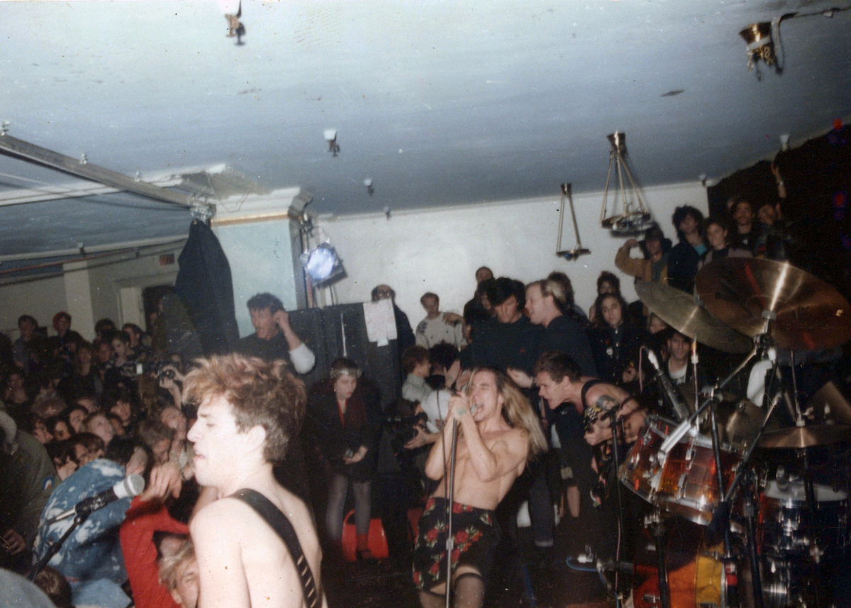 The Rise of the Red Hot Chili Peppers: Our Brother, Hillel