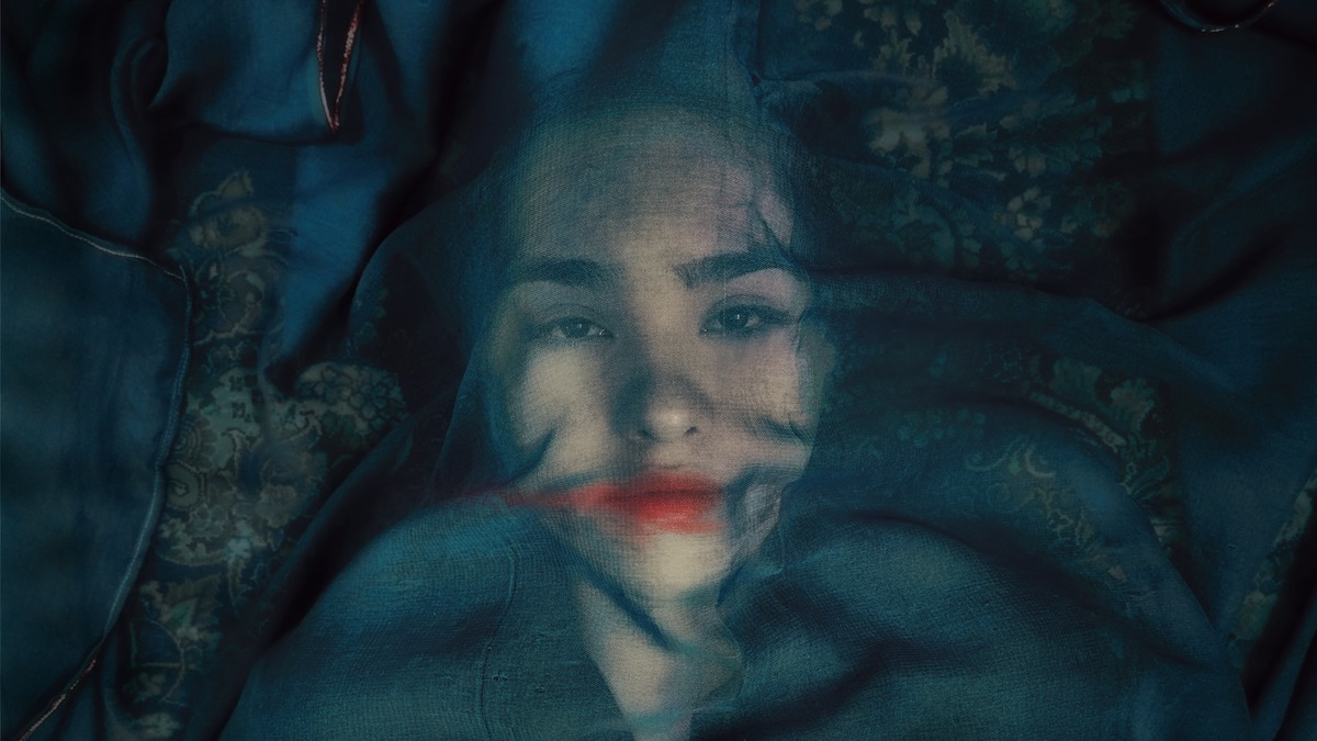 A Fox Under a Pink Moon 